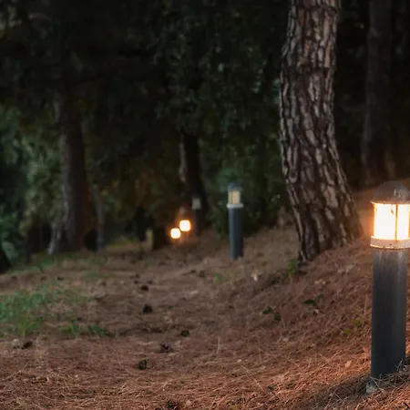 Villa Adele - Historic Dimora With Pool & Sea View *